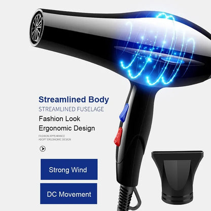 Professional Powerful Ionic Air Blow Dryer